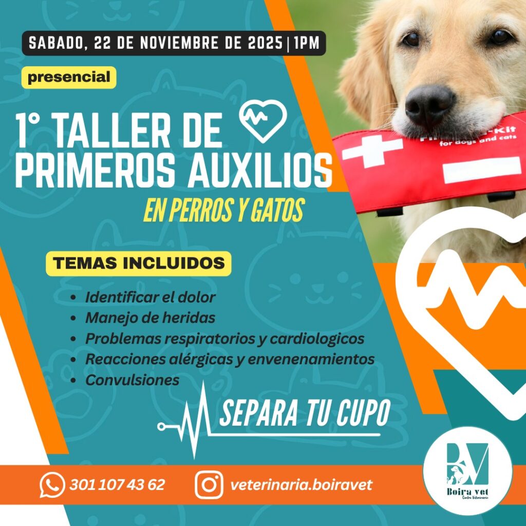🐾 ¿Sabes cómo reaccionar si tu perro o gato enfrenta una emergencia? 🐶🐱