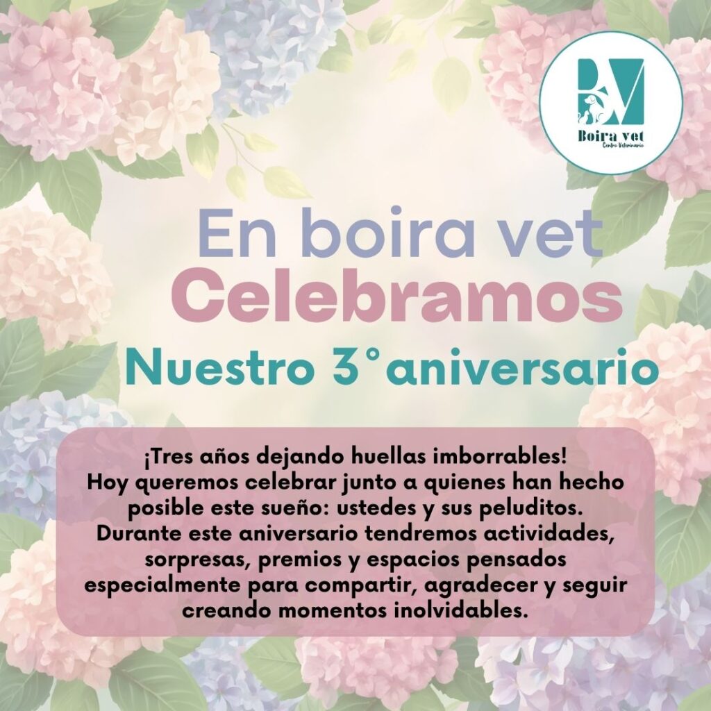 Celebramos nuestro 3° aniversario 🎉🎊